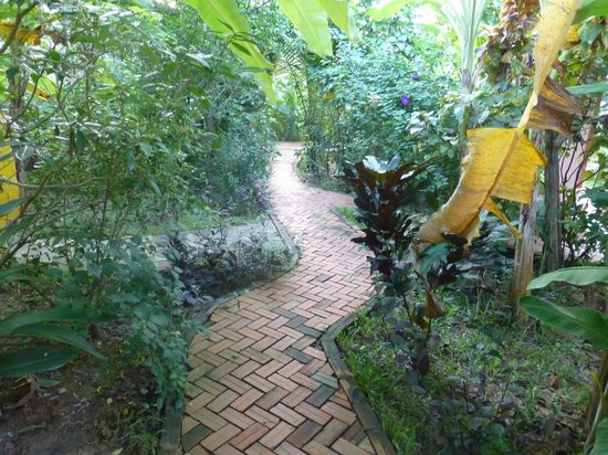 botanica-guest-house.jpg