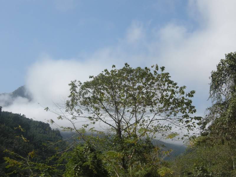 DSCN0619.jpg