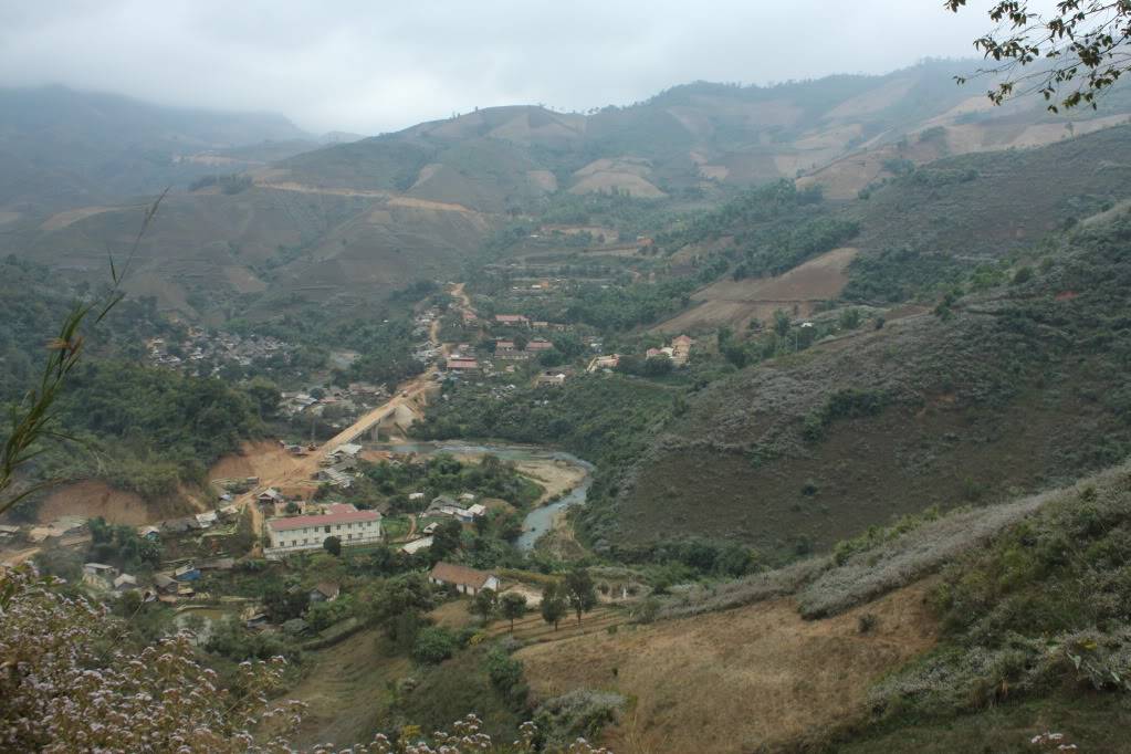 IMG_4272.jpg