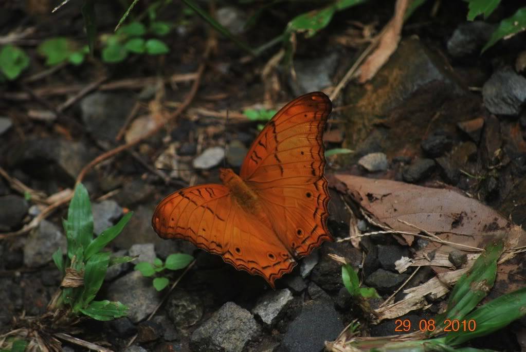 DSC_1567.jpg