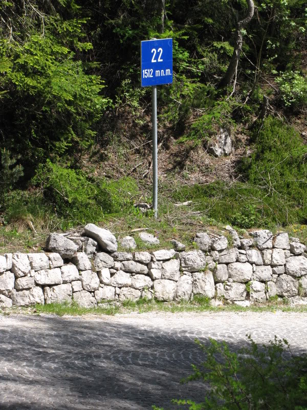 IMG_4139.jpg