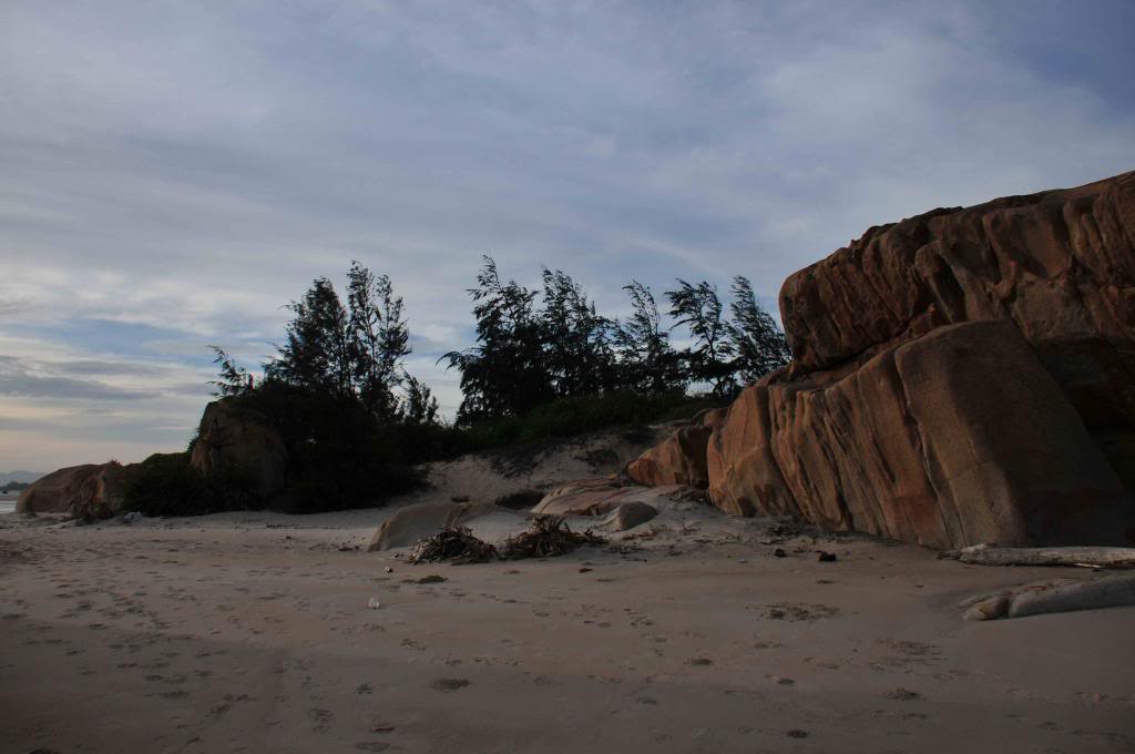 DSC_1498_zps5234f1f8.jpg