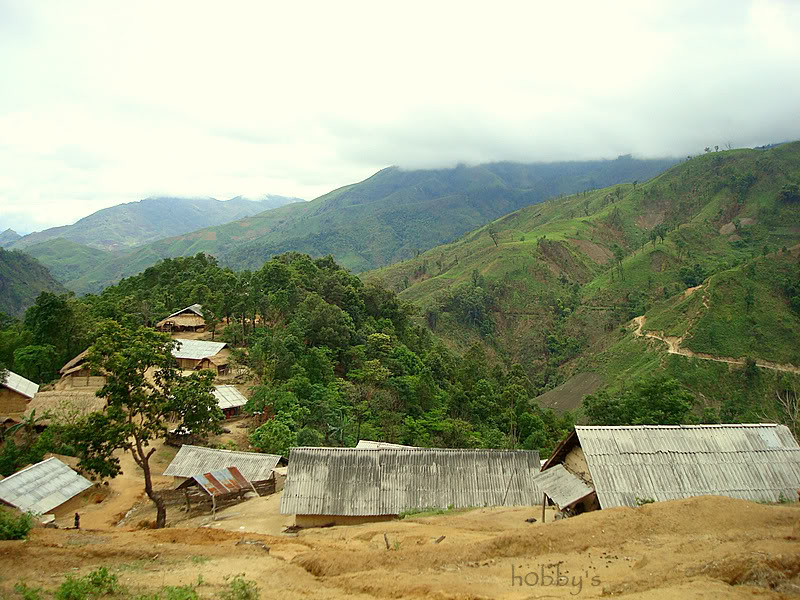 DSC08096-1.jpg