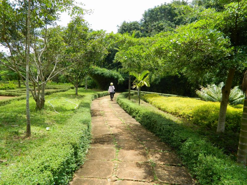 DSCN1907.jpg