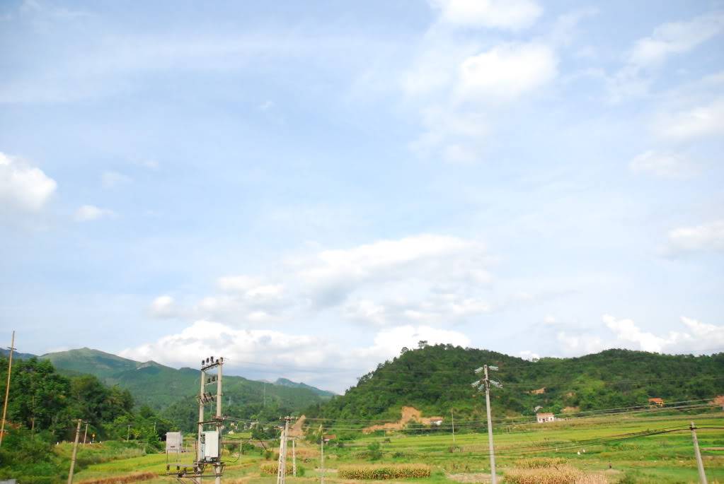 DSC_0119.jpg