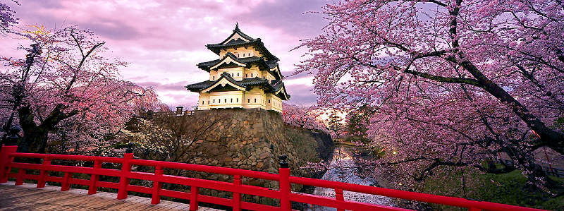 best-places-to-see-cherry-blossoms.jpg