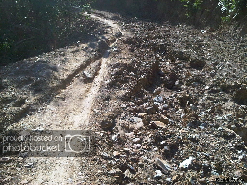 IMG-20120923-00234.jpg