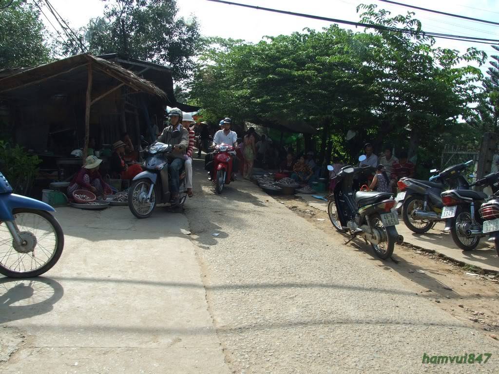 hoaminh-13.jpg