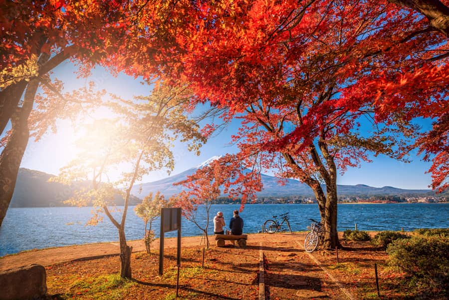 Lake-Kawaguchiko-2.jpg