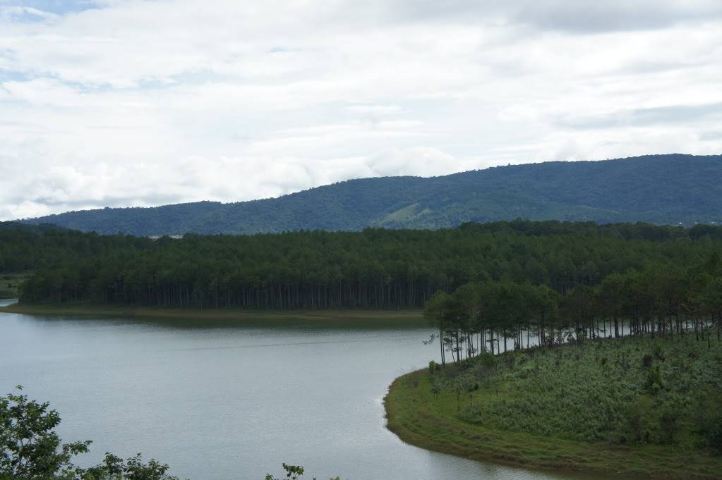DSC00678.jpg