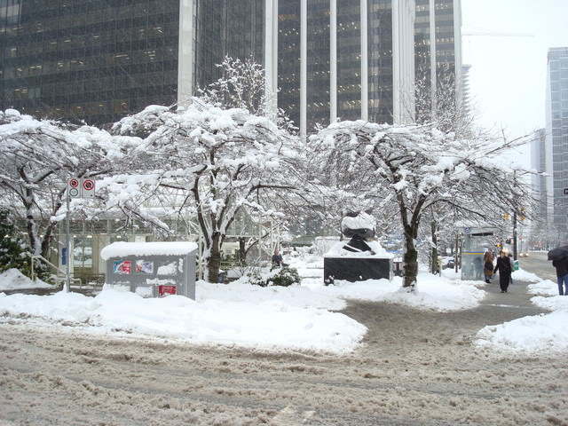 DSC07050.jpg