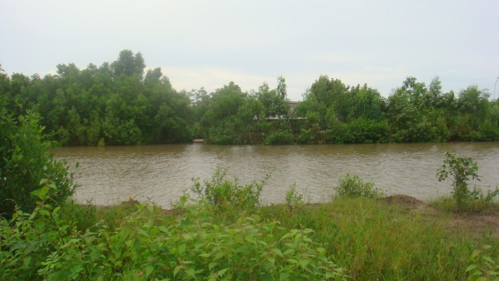 187.jpg