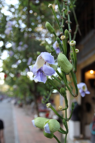 IMG_9884_resize.jpg