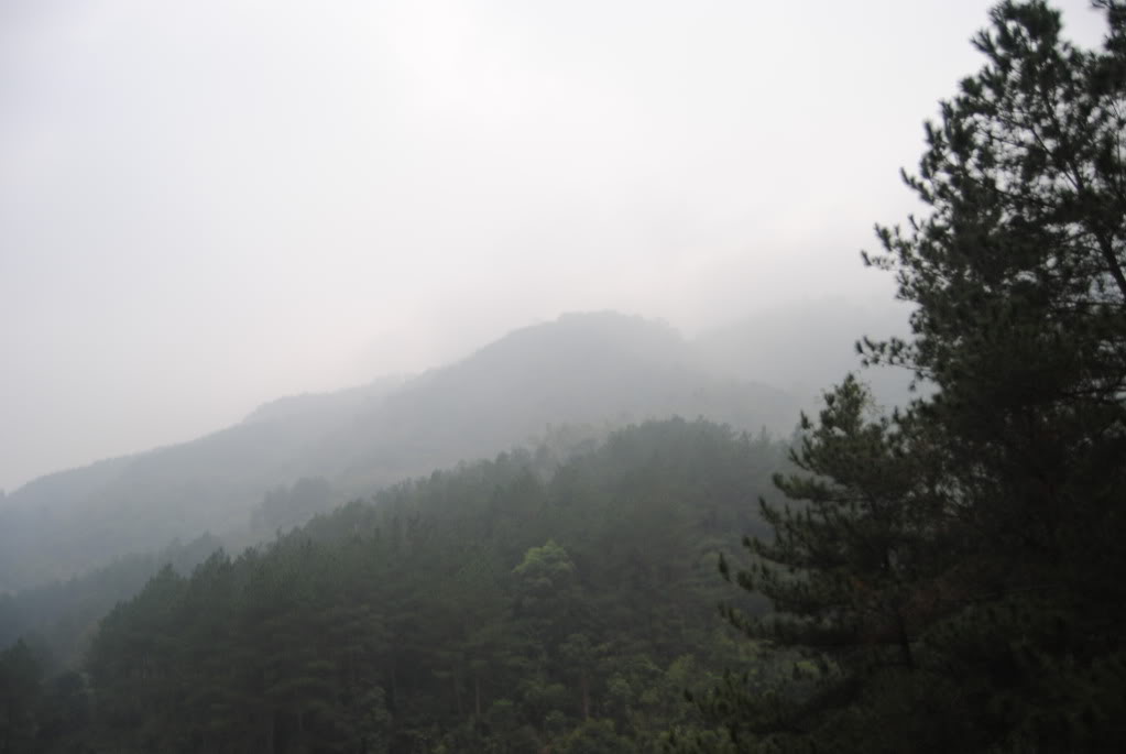 DSC_0009.jpg