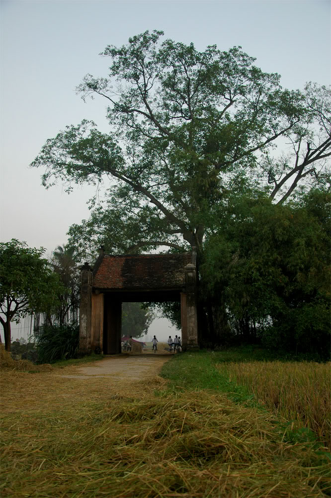 DSC_2251.jpg