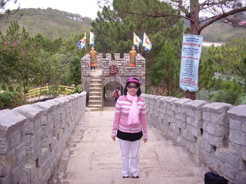 SDC15137.jpg