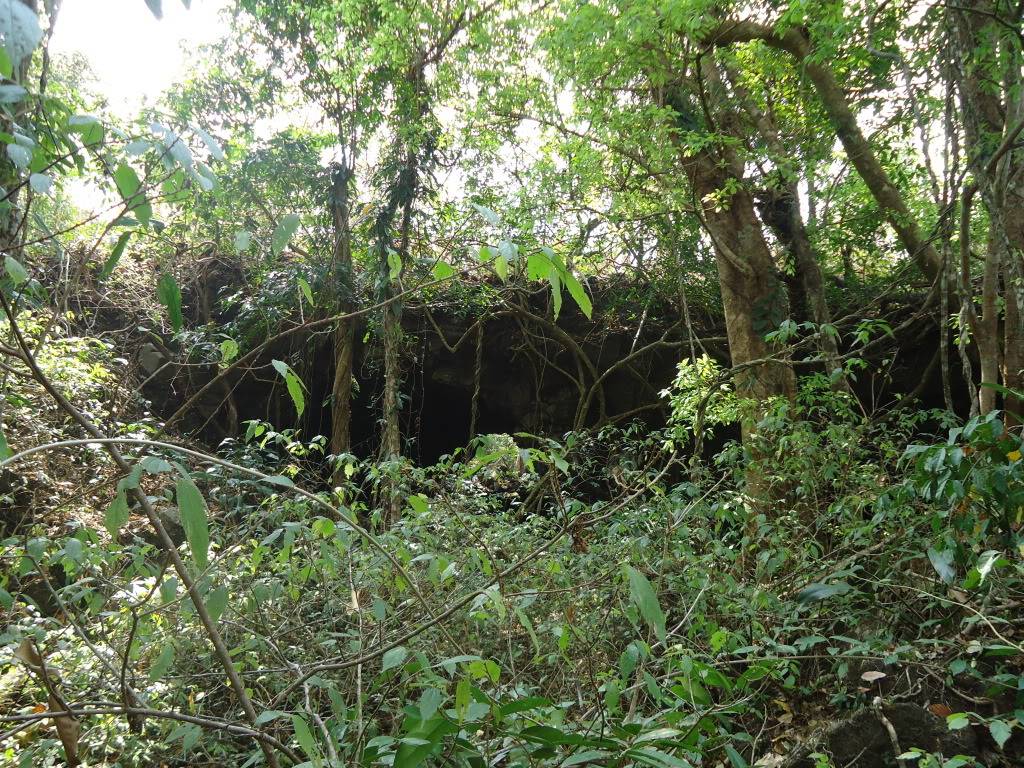 DSC01144.jpg