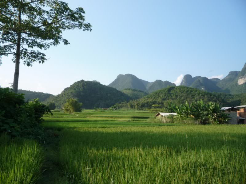 P1010769800x600.jpg