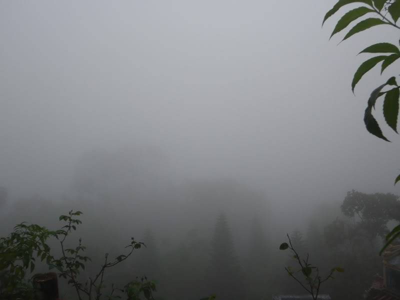 PA070097.jpg