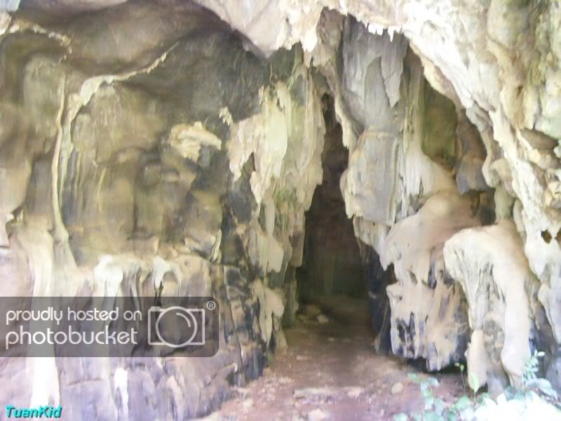 SDC12771.jpg