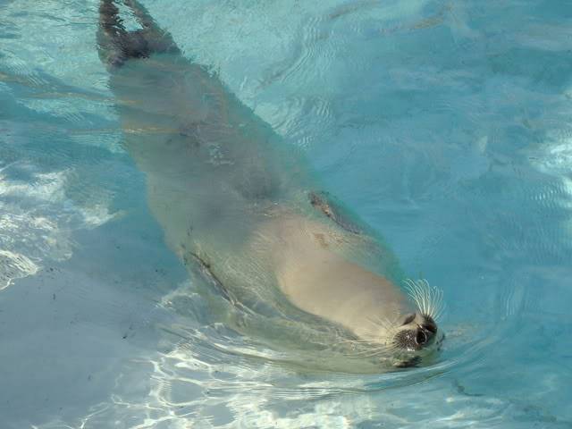 DSC05622.jpg