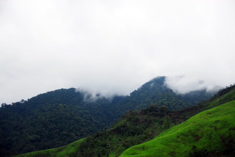 DSC_1288resize.jpg