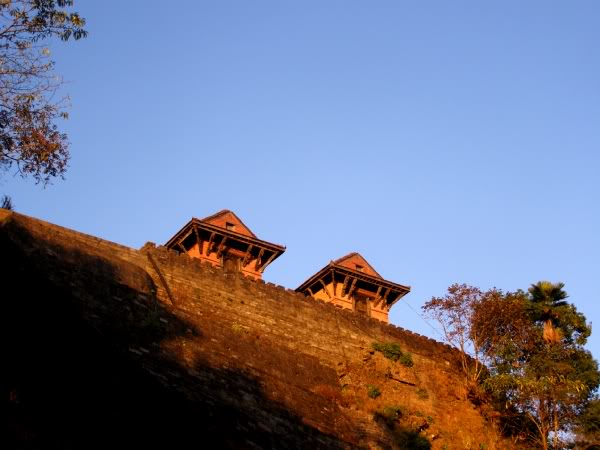 PB081046.jpg