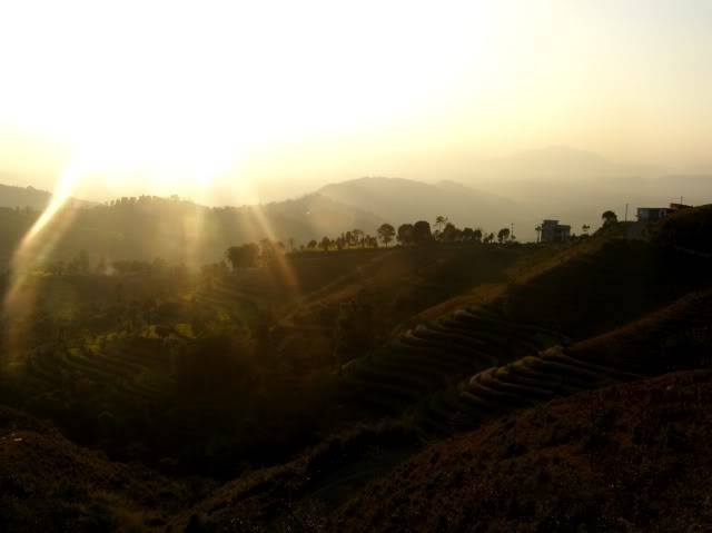 PB010175.jpg