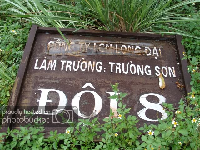 DSC08729.jpg