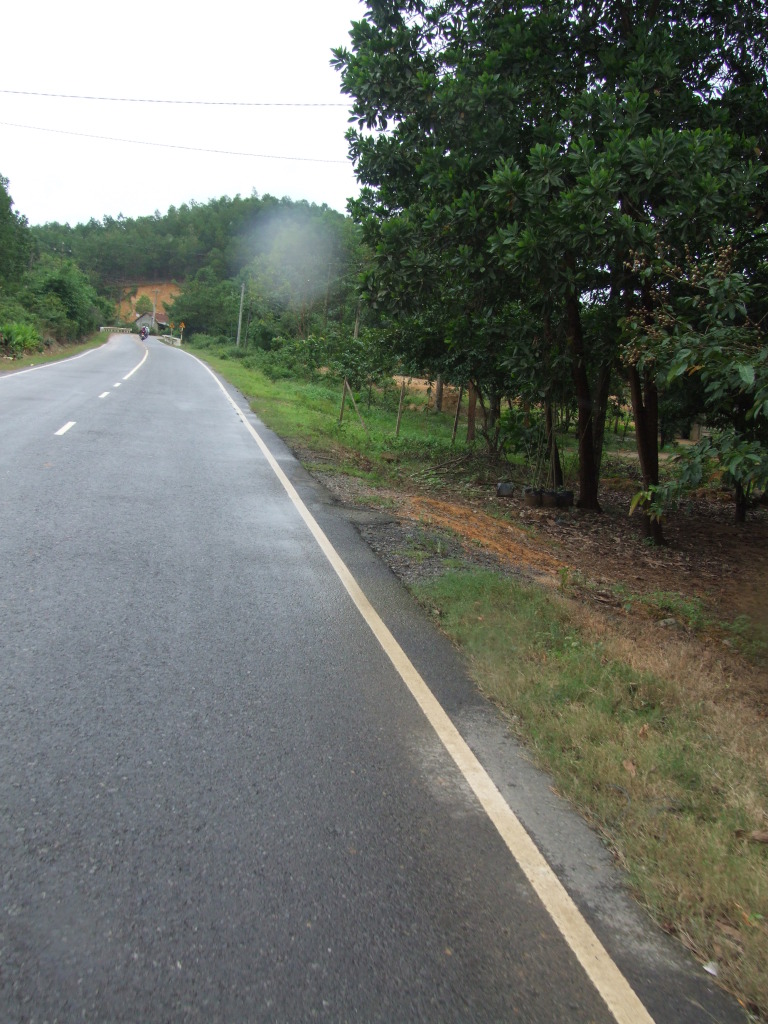 DSCF1529.jpg