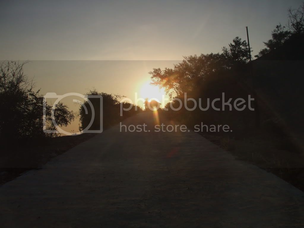 DSCF5585.jpg