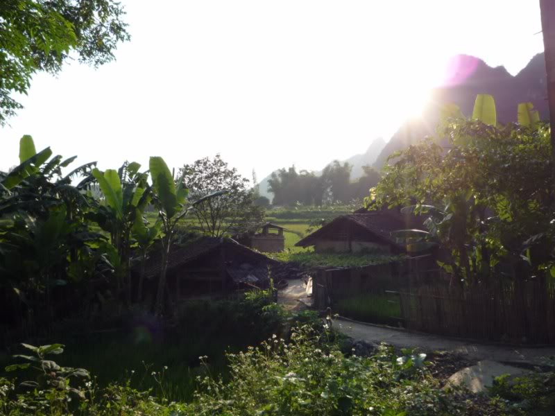 P1010772800x600.jpg