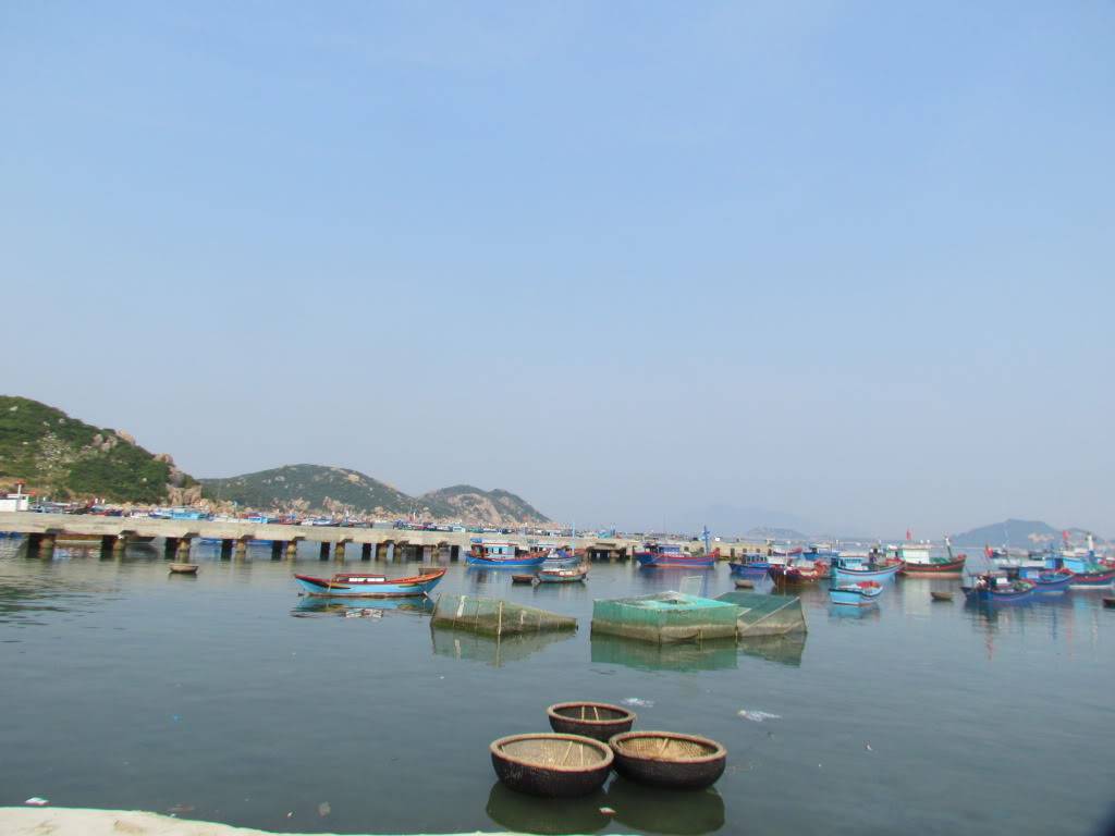 IMG_2362.jpg