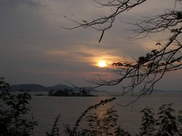 P3190091.jpg