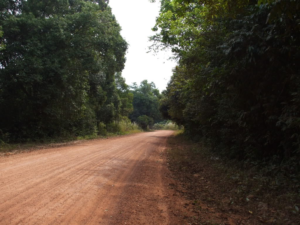 DSCF4847.jpg