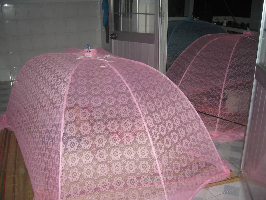 HnSn074.jpg