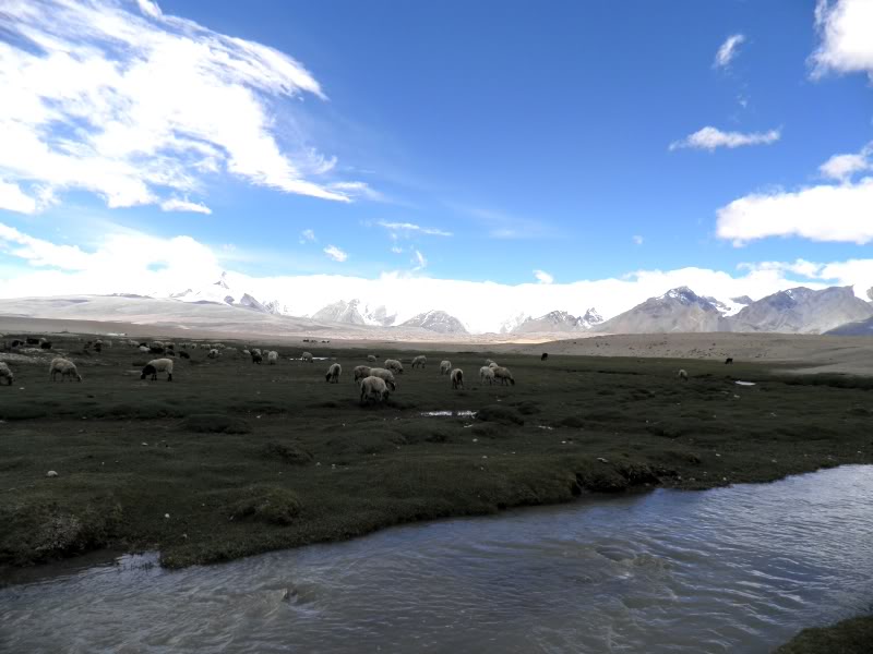 P6222390.jpg
