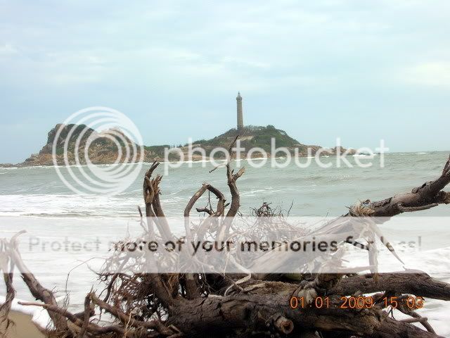 DSCN7721.jpg