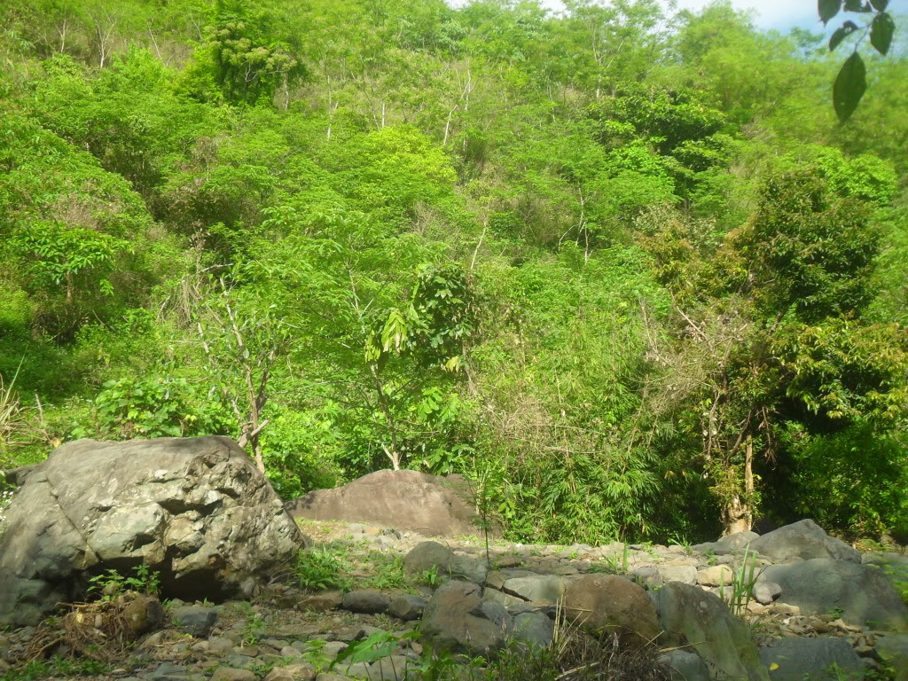 SDC14210.jpg