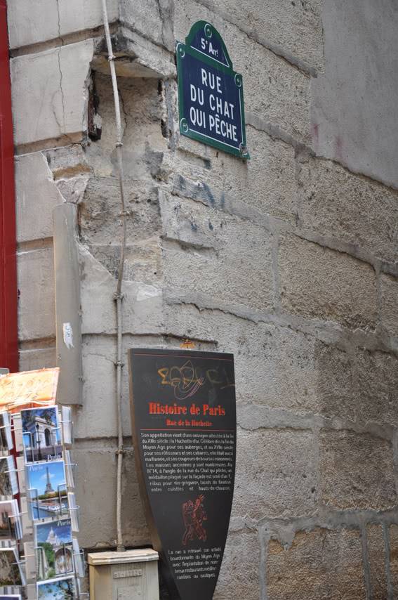 DSC_0376.jpg