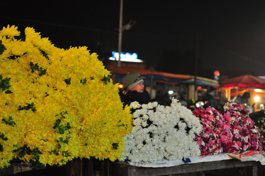 DSC_0012.jpg