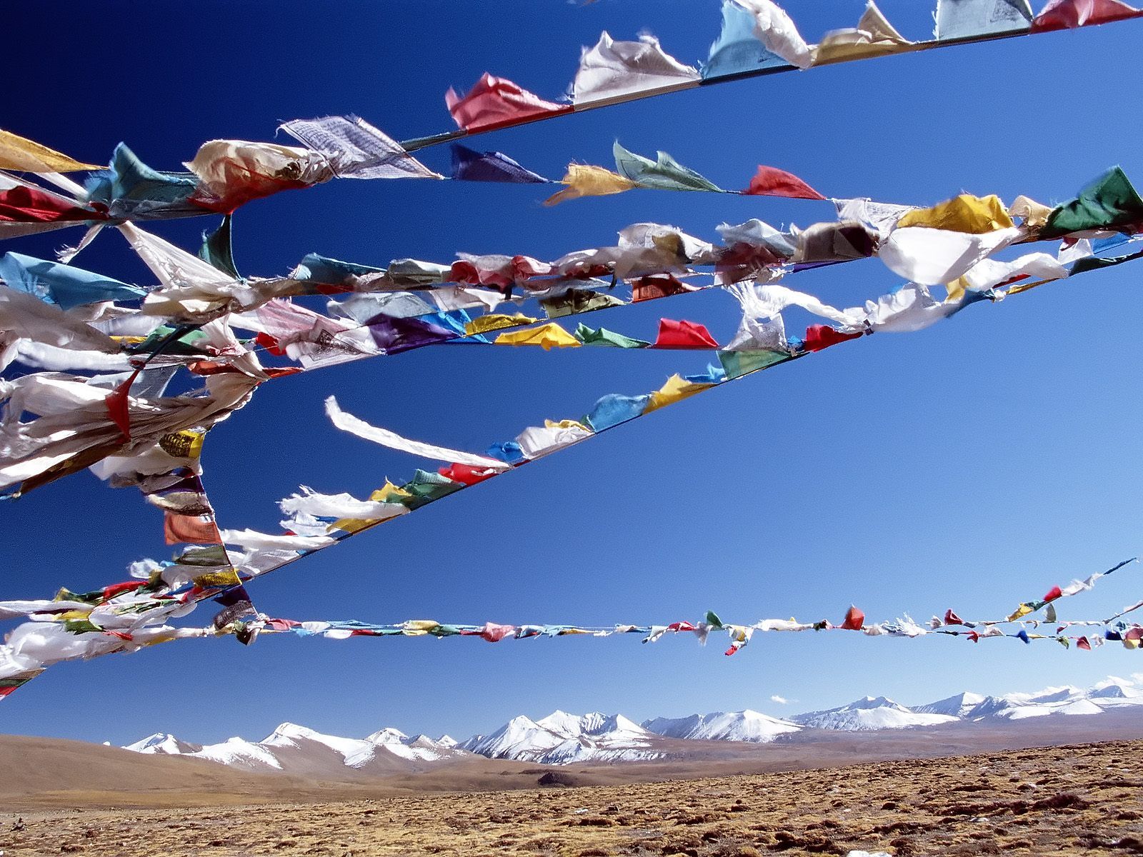 1359274342_0!!-!!Flag%20Bunting%20TIbet.jpg