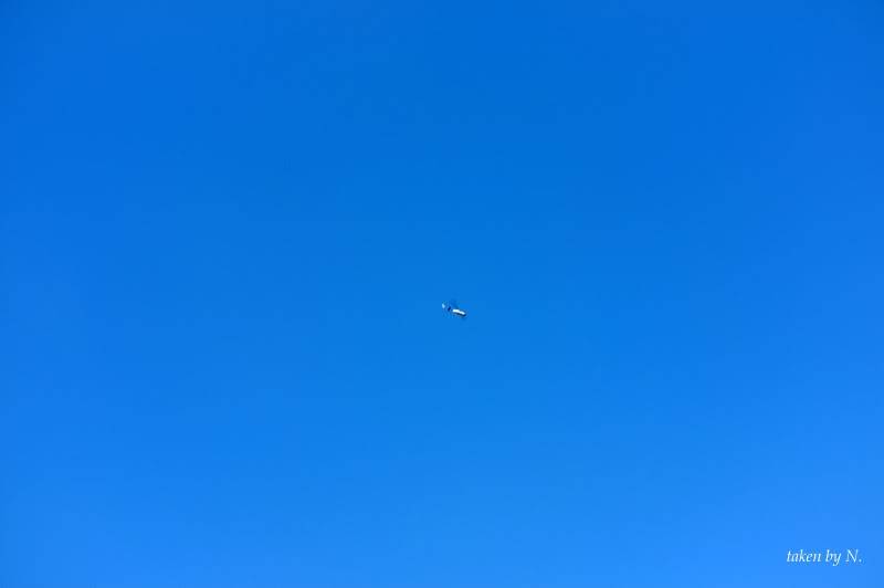 2012_0515BE.jpg