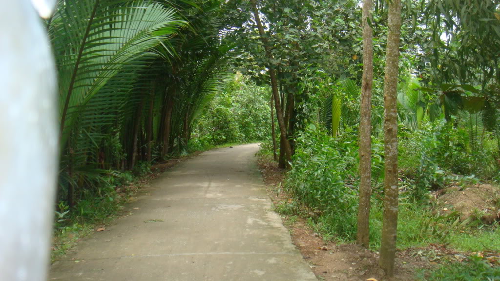 295.jpg