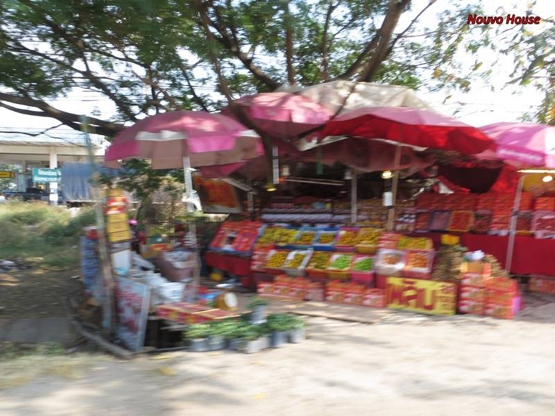 Ngay%205%2010_zps0vs9ydx9.jpg