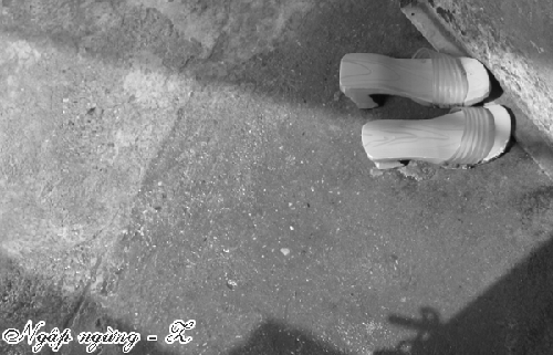 2803774816_4ccf9e7c0c_o.gif