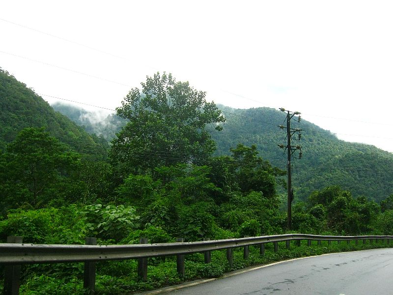 IMG_7194.jpg