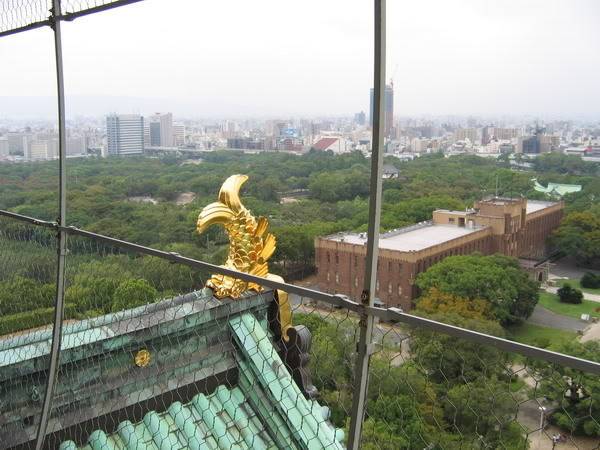 IMG_0164_resize.jpg