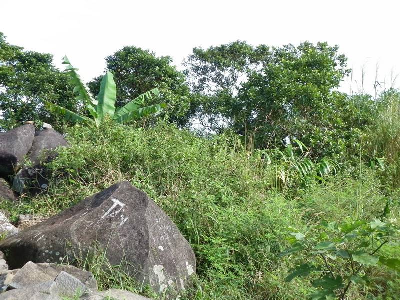 P1000629.jpg