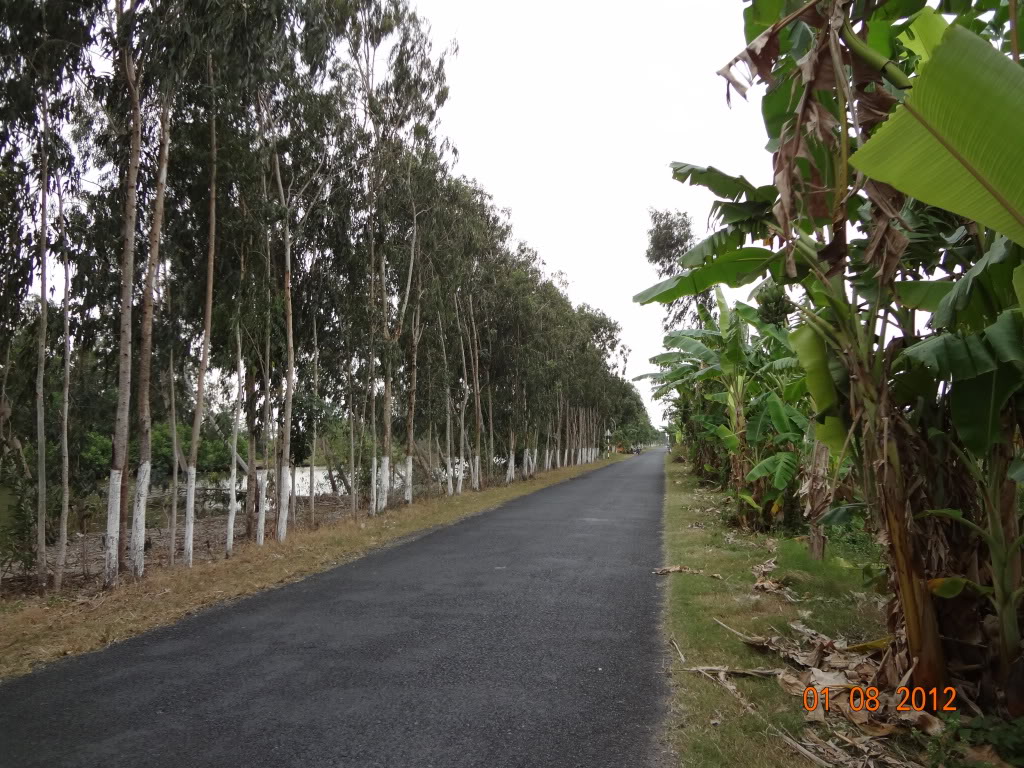 DSC00159.jpg